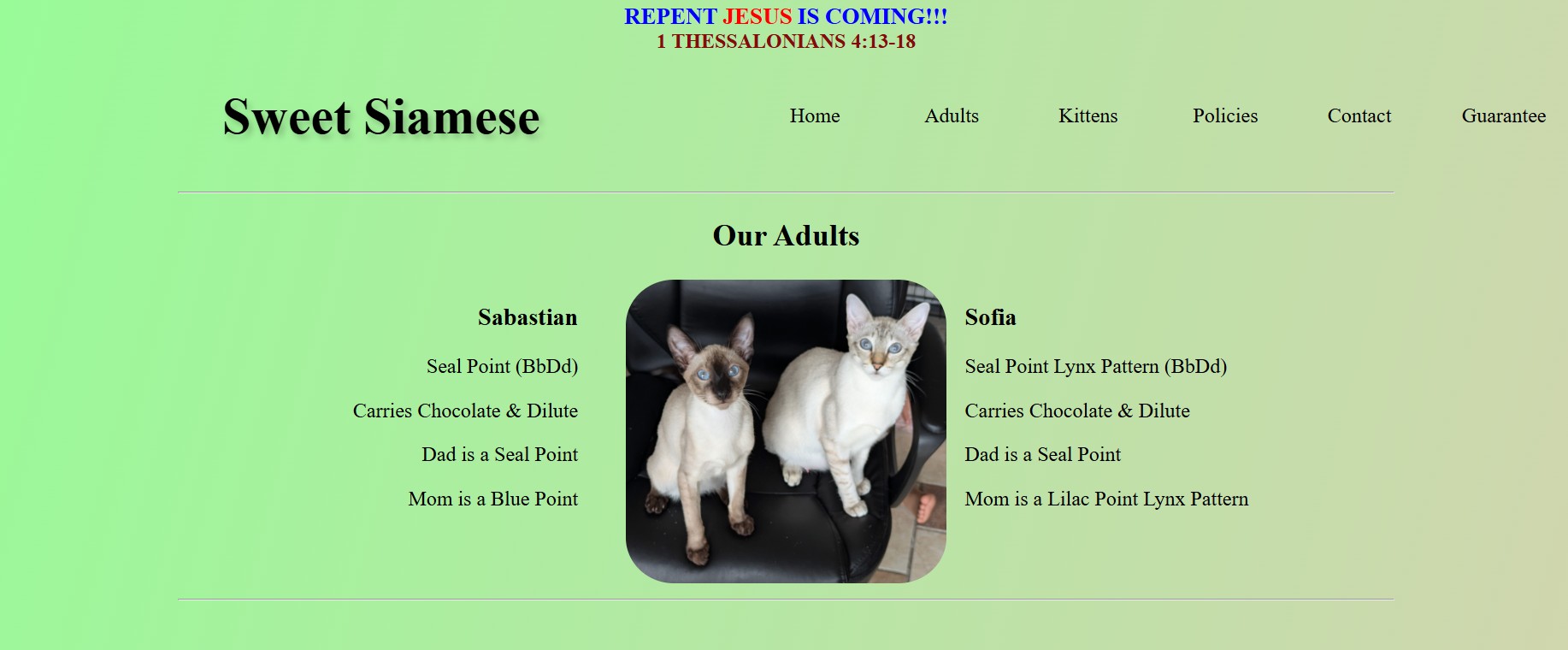 Sweet Siamese Website